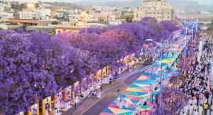 وسط أبها يتحول إلى لوحة فنية بديعة.