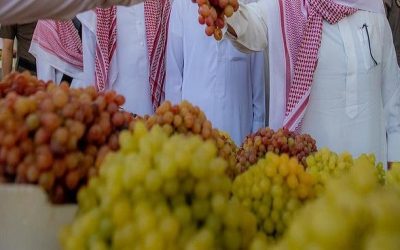 افتتاح مهرجان الفاكهة في محافظة طبرجل..