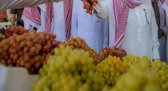افتتاح مهرجان الفاكهة في محافظة طبرجل..