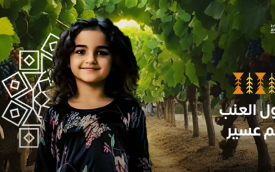 مزرعة أعناب السياحية موسم صيف عسير 2023