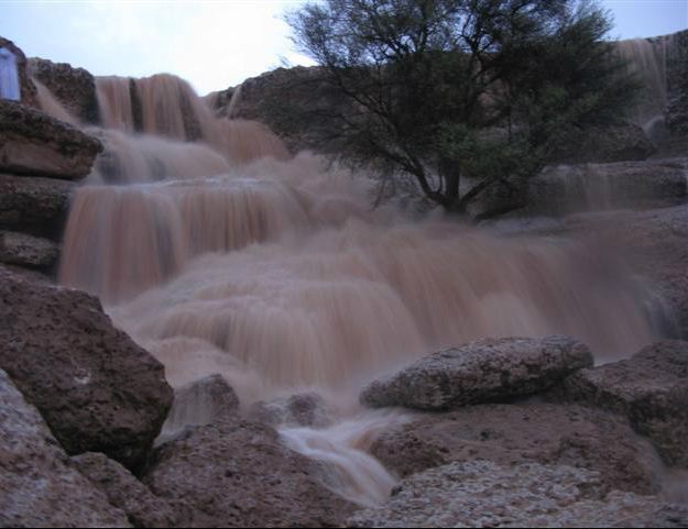 وادي الطوقي