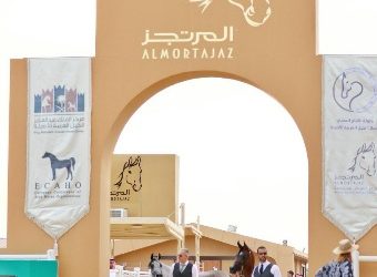 بطولة المرتجز لجمال الخيل العربية 2024