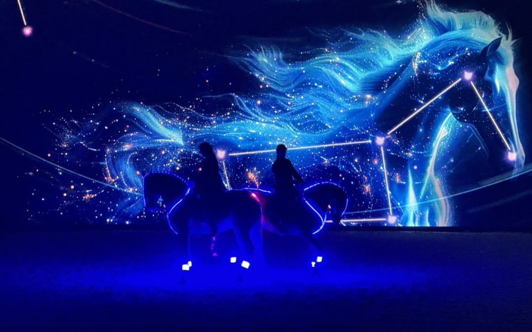 عرض أصايل للخيول 2024