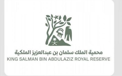 مهرجان محمية الملك سلمان بن عبد العزيز الملكية 2024