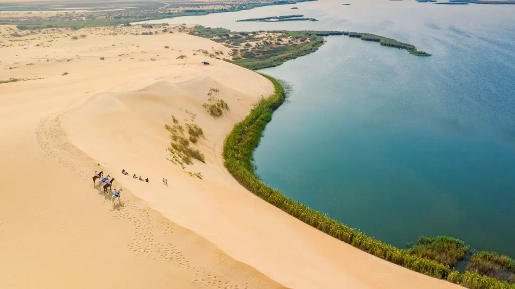 بحيرة الأصفر في الأحساء