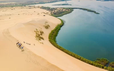 بحيرة الأصفر في الأحساء