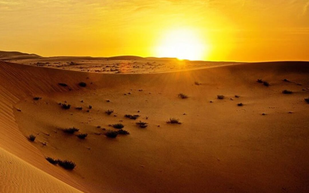 سفاري صباحي في صحراء جدة