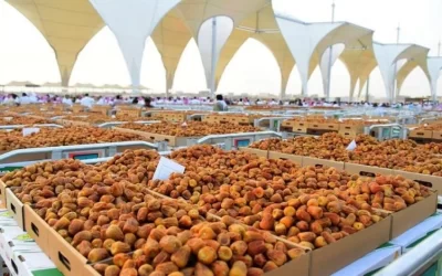 ختام ناجح لموسم عنيزة الدولي للتمور 2024 تحت شعار “الأسواق الموسمية” ودعم شامل لتطوير قطاع النخيل والتمور