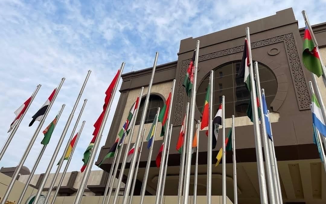 منظمة التعاون الإسلامي تدعو للاستثمار في منع العنف ضد النساء والفتيات بمناسبة اليوم الدولي للقضاء على العنف ضد المرأة”