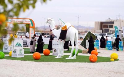 مهرجان حمضيات حائل 2024 يستقطب أكثر من 32 ألف زائر في نسخته الرابعة