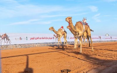 مهرجان الملك عبدالعزيز للإبل 2024: سباقات الهجن تنطلق بجوائز تتجاوز 85 مليون ريال