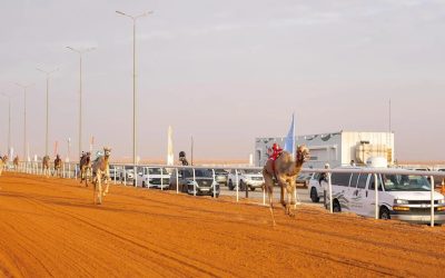 إعلان الفائزين بجائزة الملك عبدالعزيز لسباقات الهجن فئة “ثنايا” في مهرجان الملك عبدالعزيز للإبل 2024