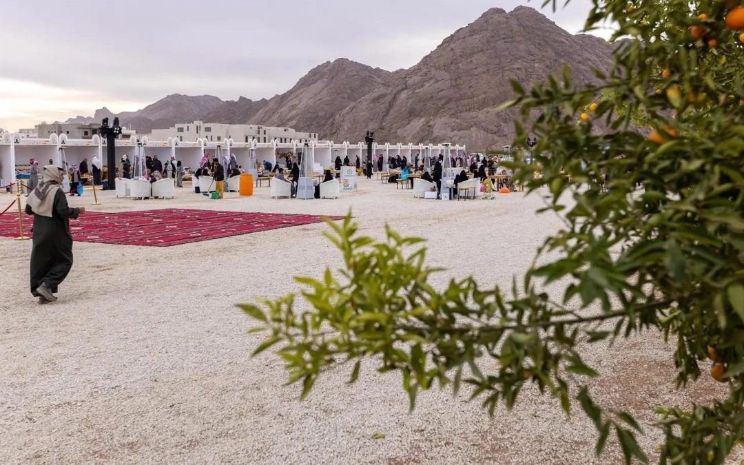 “مهرجان حمضيات حائل 2024” يستقطب الزوار والسيّاح ويحقق نجاحًا لافتًا