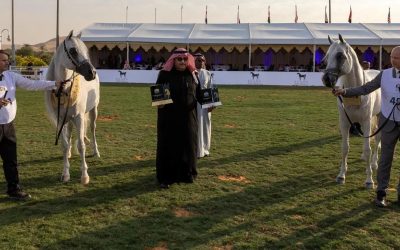 مربط عذبة يحقق إنجازات بارزة في العرض الدولي السابع لجمال الخيل العربية الأصيلة