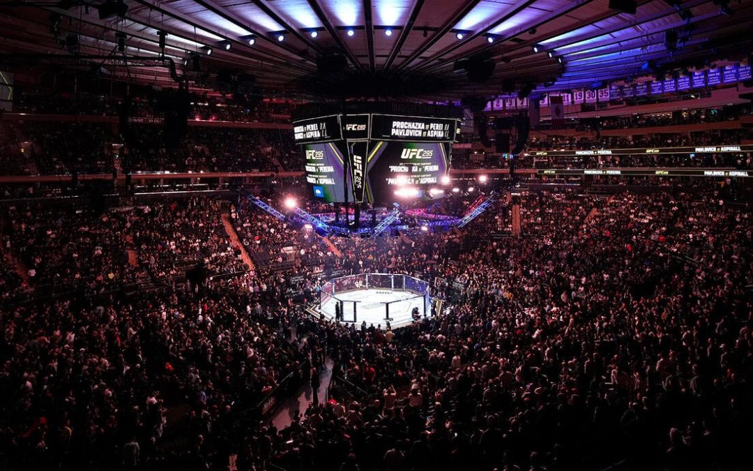 مقاتلو UFC يجتازون مرحلة الوزن ويستعدون للنزالات النارية في الرياض