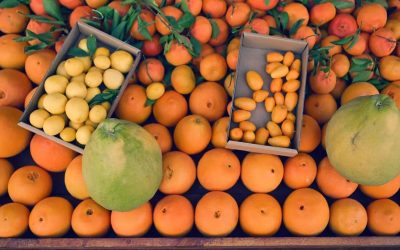 العُلا تحتفي بموسم الحمضيات 2025: مزيج من الطبيعة والتراث والتجارب المبتكرة