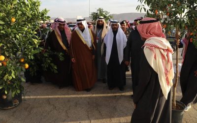 افتتاح مهرجان الحمضيات التاسع بالحريق برعاية أمير الرياض بمشاركة 180 عارضًا