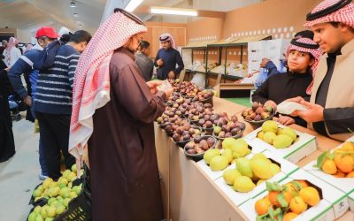 20 صنفًا من أجود الحمضيات تزين مهرجان الحريق التاسع بحضور قياسي تجاوز 262 ألف زائر