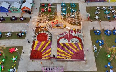 50 ألف زهرة تُزين سجادة مهرجان شتاء الباحة في المخواة وتبهر الزوار بجمالها