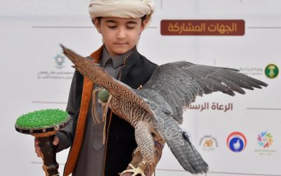 مهرجان الصقور بالقصيم يجذب عشاق الصقارة وسط أجواء تنافسية حماسية