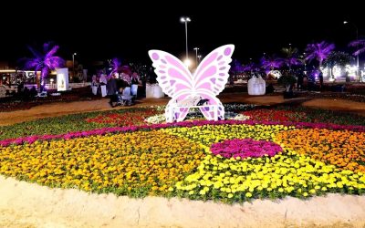انطلاق مهرجان الزهور 2025 بالقطيف.. 800 ألف زهرة تزين الواجهة البحرية