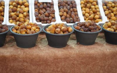 نائب أمير الجوف يفتتح “مهرجان التمور 2025” في دومة الجندل