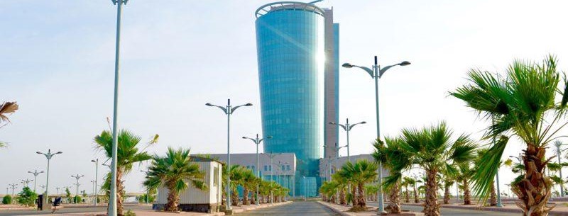 جامعة جازان تُشارك في الأسبوع العالمي للتعليم المفتوح 2025 بفعاليات مبتكرة