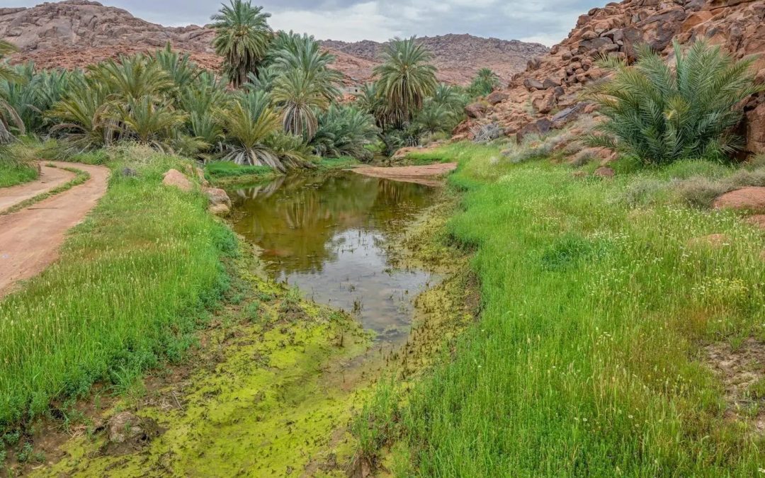 جبال أجا وسلمى في حائل.. لوحة طبيعية تخطف الأنفاس وتستقطب عشاق الطبيعة