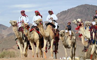 “الهجانة” يحتفلون بالعيد في بادية تبوك على أنغام الهجيني