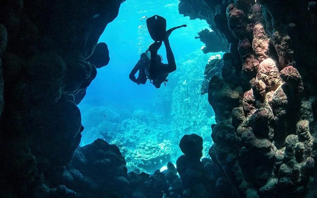 بينالي الفنون الإسلامية يستعرض أسرار المرجان وتأثيره المعماري بسواحل المملكة من قلب البحر الأحمر إلى الفن الإسلامي