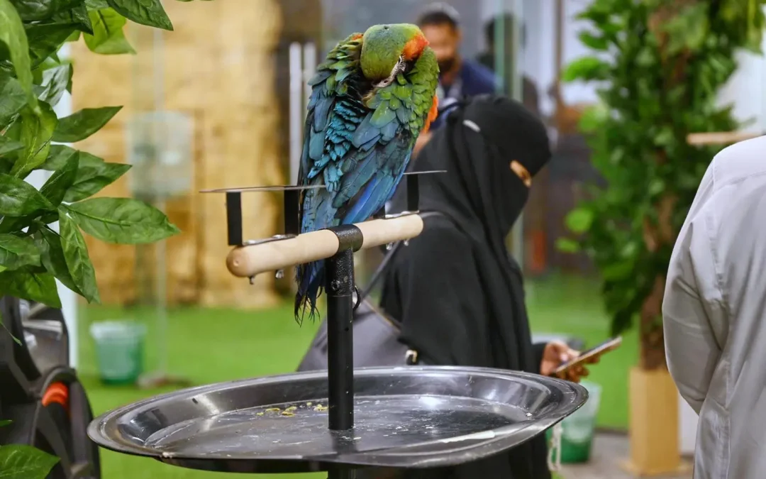 “عالم الطيور والزواحف” في سيتي ووك.. تجربة تفاعلية تجمع بين المتعة والمعرفة لعشّاق الطبيعة