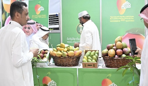 مهرجان المانجو بصبيا يختتم فعالياته بحضور 100 ألف زائر ومبيعات بـ 5 ملايين ريال