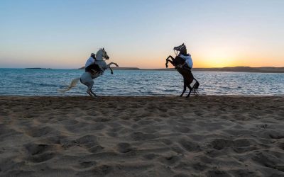 شاطئ هبّان بالوجه.. ساحة الفروسية المفتوحة التي تجمع التراث والبحر في لوحة أصيلة