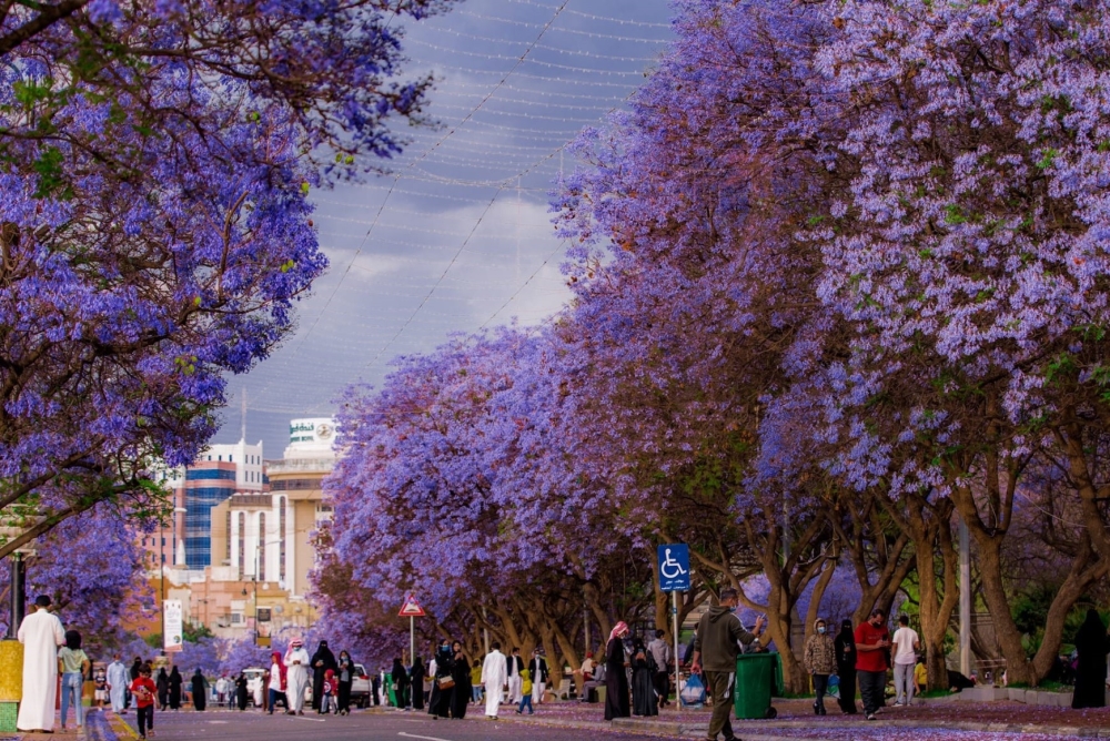 أبها تتأهل ضمن أفضل 50 مدينة عالمية في تحدي “بلومبرغ” لعام 2025