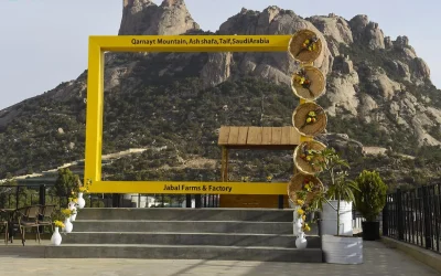 وادي غزال في الطائف.. أيقونة سياحية تجمع بين جمال الطبيعة وثراء الموروث الثقافي