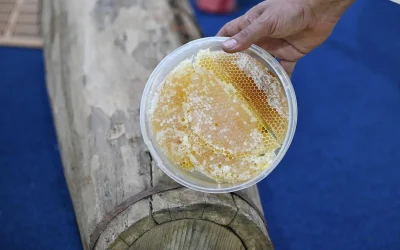 مهرجان العسل والمنتجات الزراعية الثالث بتبوك: منصة لتعزيز الزراعة المحلية وتمكين النحالين تحت مظلة رؤية 2030