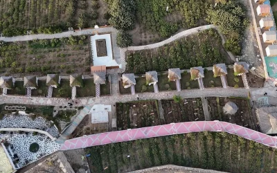 أرياف الطائف.. تجربة ريفية أصيلة تجمع السياحة والثقافة والاستدامة في قلب الطبيعة