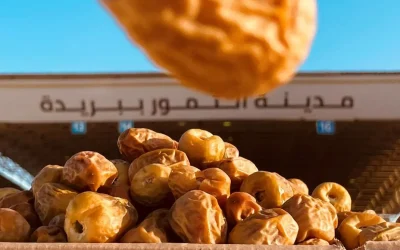 كرنفال بريدة للتمور 2025 ينطلق بنسخة جديدة: تجربة زراعية وترفيهية تمتد حتى أكتوبر