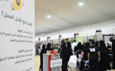 مهرجان العسل والمنتجات الزراعية في تبوك 2025: إقبال واسع وتجربة تجمع التثقيف والتسويق والترفيه