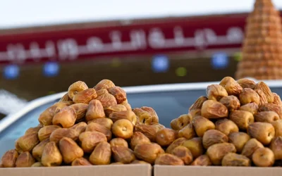 السكري المفتل يتصدر مبيعات كرنفال بريدة للتمور بأسعار تصل إلى 400 ريال للكرتون