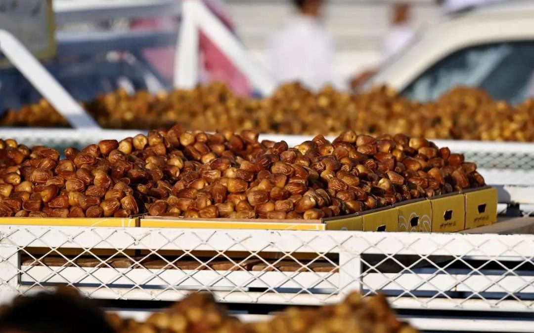 كرنفال بريدة للتمور يدخل مرحلته الذهبية مع وفرة الإنتاج وتنوع الأصناف