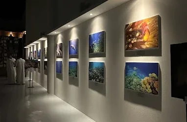 133 فنانًا يشاركون في معرض (30×30 سم) بجمعية الثقافة والفنون بالدمام
