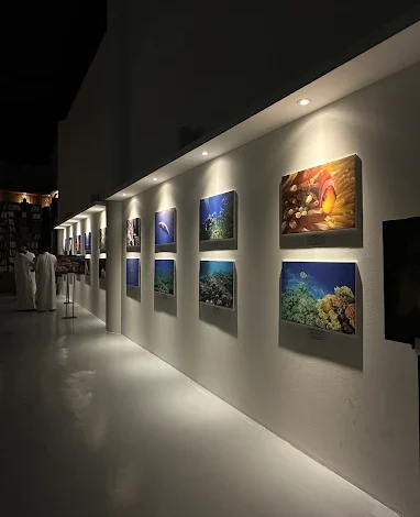 133 فنانًا يشاركون في معرض (30×30 سم) بجمعية الثقافة والفنون بالدمام