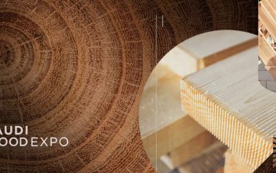 🪵 انطلاق معرض الأخشاب السعودي 2025 بالرياض.. منصة تجمع الابتكار والحرفية والاستدامة