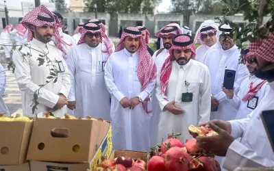 انطلاق مهرجان الرمان والمنتجات الموسمية الخامس بسراة عبيدة وسط إقبال واسع