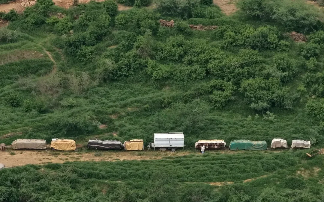 🌿 رجال ألمع.. جوهرة عسير التي تجمع بين الطبيعة والتراث وتستقطب الزوار