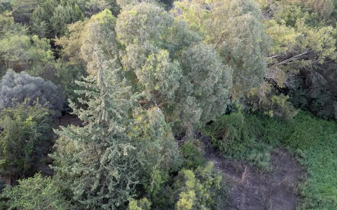 وادي “أم الدقيق” في الباحة.. تحفة طبيعية تجمع الشلالات المتدفقة وجمال التنوع البيئي