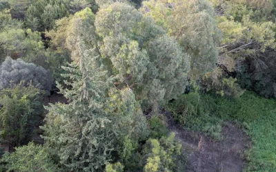 وادي “أم الدقيق” في الباحة.. تحفة طبيعية تجمع الشلالات المتدفقة وجمال التنوع البيئي