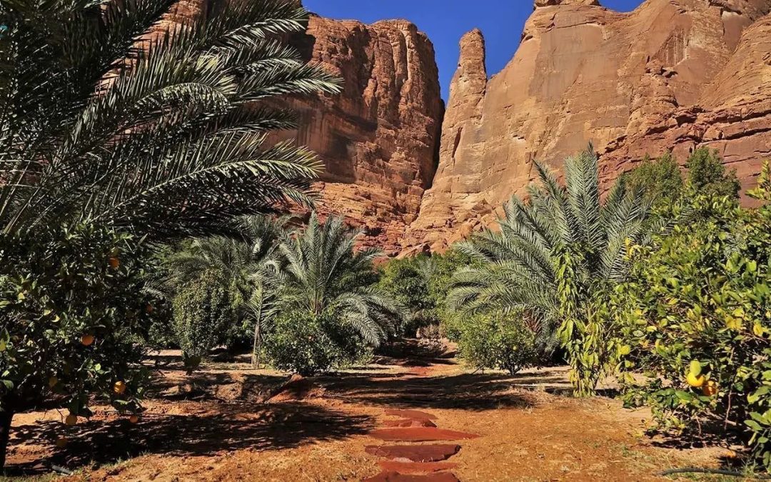 🏜️ “نبض العُلا” يعود في نسخته الخامسة.. مغامرات رياضية وتجارب طبيعية ساحرة بين الجبال والوديان