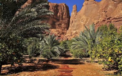 🏜️ “نبض العُلا” يعود في نسخته الخامسة.. مغامرات رياضية وتجارب طبيعية ساحرة بين الجبال والوديان